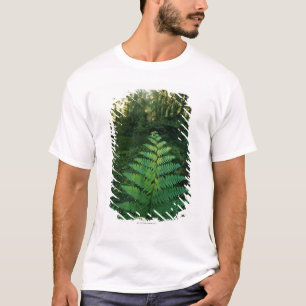 USA, Washington, Olympia-Nationalpark, Hoh Fluss T-Shirt