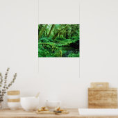 USA, Washington, Olympic Nat. Park, Hoh Rain Poster (Küche)