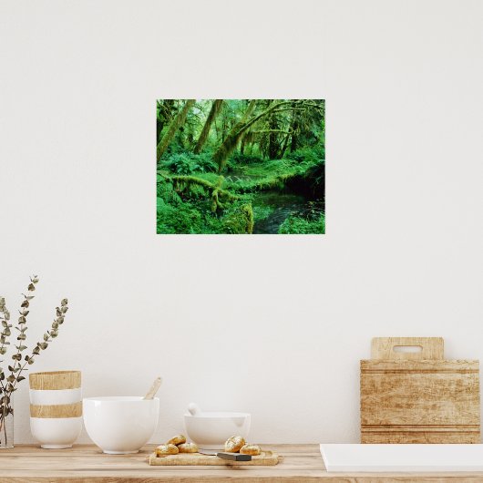 USA, Washington, Olympic Nat. Park, Hoh Rain Poster (Küche)