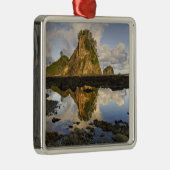 USA, Washington, Olympic National Park.A Silbernes Ornament (Rechts)