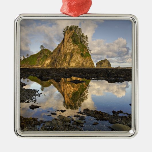 USA, Washington, Olympic National Park.A Silbernes Ornament (Vorne)