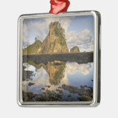 USA, Washington, Olympic National Park.A Silbernes Ornament (Links)