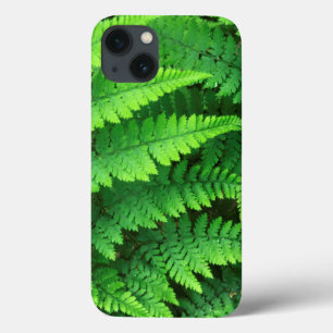 USA, Washington, Olympic National Park, Athyrium Case-Mate iPhone Hülle
