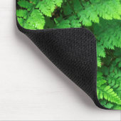 USA, Washington, Olympic National Park, Athyrium Mousepad (Ecke)