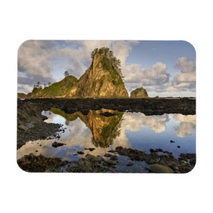 USA, Washington, Olympic National Park.  Ein Magnet
