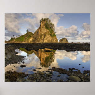 USA, Washington, Olympic National Park.  Ein Poster