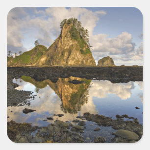 USA, Washington, Olympic National Park.  Ein Quadratischer Aufkleber