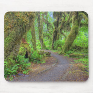 USA, Washington, Olympic National Park, Hoh 2 Mousepad