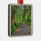 USA, Washington, Olympic National Park, Hoh 2 Ornament Aus Metall (Rechts)