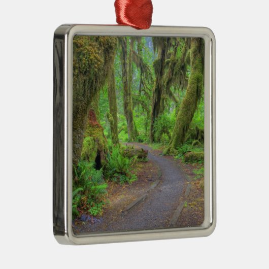 USA, Washington, Olympic National Park, Hoh 2 Ornament Aus Metall (Rechts)