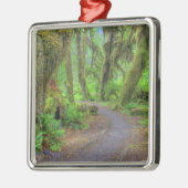 USA, Washington, Olympic National Park, Hoh 2 Ornament Aus Metall (Links)