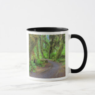 USA, Washington, Olympic National Park, Hoh 2 Tasse