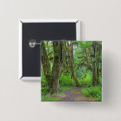 USA, Washington, Olympic National Park, Hoh Button (Vorne & Hinten)