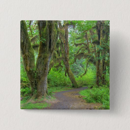 USA, Washington, Olympic National Park, Hoh Button (Vorderseite)