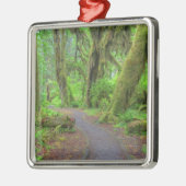USA, Washington, Olympic National Park, Hoh Rain Silbernes Ornament (Links)