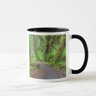 USA, Washington, Olympic National Park, Hoh Rain Tasse