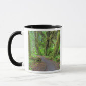 USA, Washington, Olympic National Park, Hoh Rain Tasse (Links)