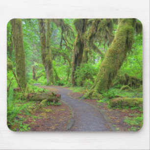 USA, Washington, Olympic National Park, Hoh-Regenw Mousepad