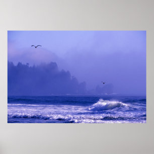 USA, Washington, Olympic National Park. Nebel Poster