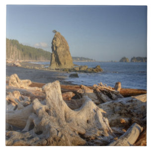 USA, Washington, Olympic National Park, Rialto Fliese