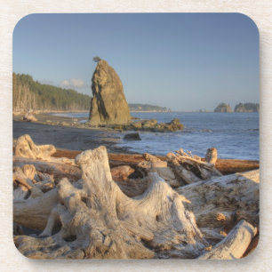 USA, Washington, Olympic National Park, Rialto Getränkeuntersetzer