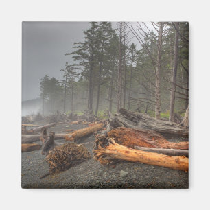 USA, Washington, Olympic National Park, Rialto Magnet