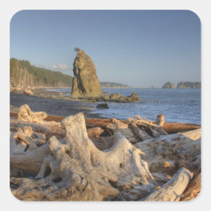 USA, Washington, Olympic National Park, Rialto Quadratischer Aufkleber