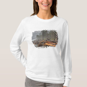 USA, Washington, Olympic National Park, Rialto T-Shirt