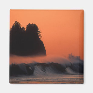 USA, Washington, Olympic National Park, Sea Magnet