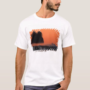 USA, Washington, Olympic National Park, Sea T-Shirt