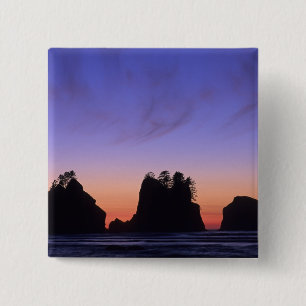 USA, Washington, Olympic National Park, Shi-shi Button