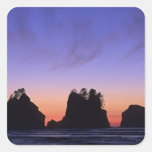 USA, Washington, Olympic National Park, Shi-shi Quadratischer Aufkleber