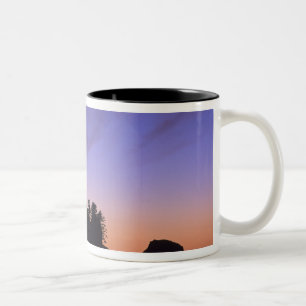 USA, Washington, Olympic National Park, Shi-shi Zweifarbige Tasse