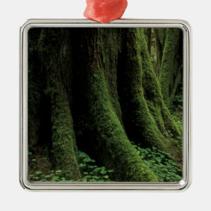 USA, Washington, Olympic-Nationalpark, 2 Silbernes Ornament