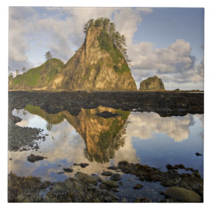 USA, Washington, Olympic-Nationalpark.  A Fliese