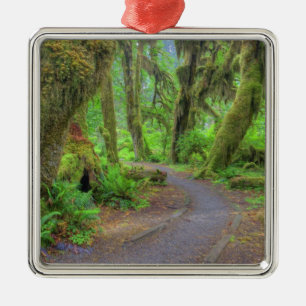 USA, Washington, Olympic-Nationalpark, Hoh 2 Ornament Aus Metall