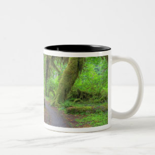 USA, Washington, Olympic-Nationalpark, Hoh 2 Zweifarbige Tasse