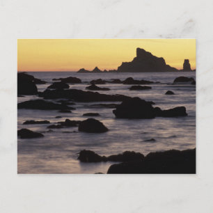 USA, Washington, Olympic-Nationalpark, Meeresfelse Postkarte