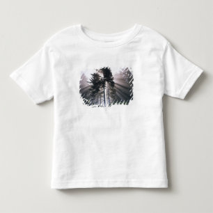 USA, Washington, Olympic-Nationalpark, Morgen Kleinkind T-shirt