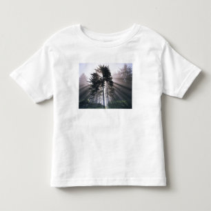 USA, Washington, Olympic-Nationalpark, Morgen Kleinkind T-shirt