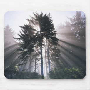 USA, Washington, Olympic-Nationalpark, Morgen Mousepad