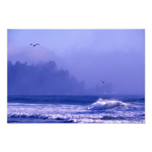 USA, Washington, Olympic-Nationalpark. Nebel Fotodruck