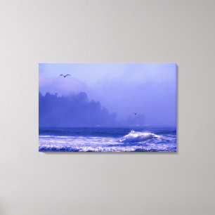 USA, Washington, Olympic-Nationalpark. Nebel Leinwanddruck