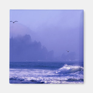 USA, Washington, Olympic-Nationalpark. Nebel Magnet