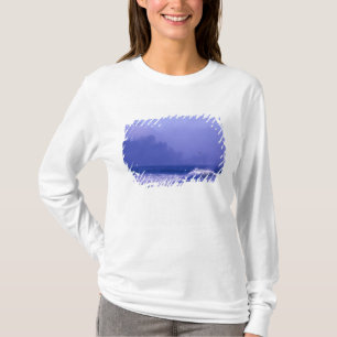 USA, Washington, Olympic-Nationalpark. Nebel T-Shirt