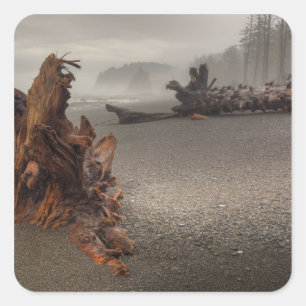 USA, Washington, Olympic-Nationalpark, Rialto 2 Quadratischer Aufkleber
