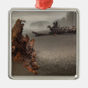 USA, Washington, Olympic-Nationalpark, Rialto 2 Silbernes Ornament