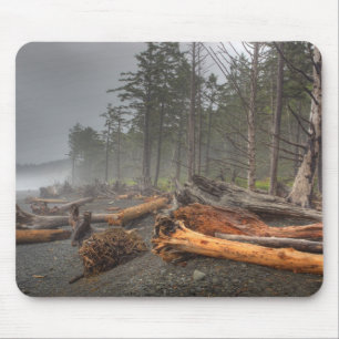 USA, Washington, Olympic-Nationalpark, Rialto Mousepad