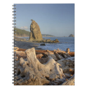 USA, Washington, Olympic-Nationalpark, Rialto Notizblock