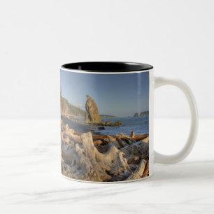 USA, Washington, Olympic-Nationalpark, Rialto Zweifarbige Tasse
